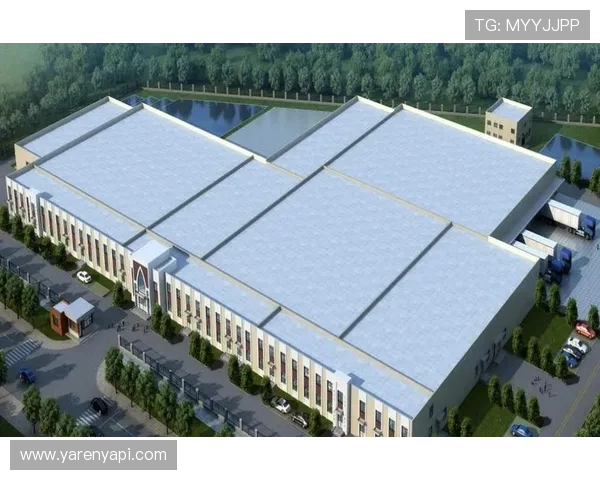 星空体育直营：供应链管理优化提升运营效率的关键措施