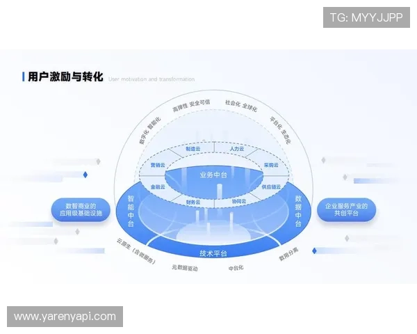 星空电子入口助力企业数字化转型，提升用户体验与市场竞争力